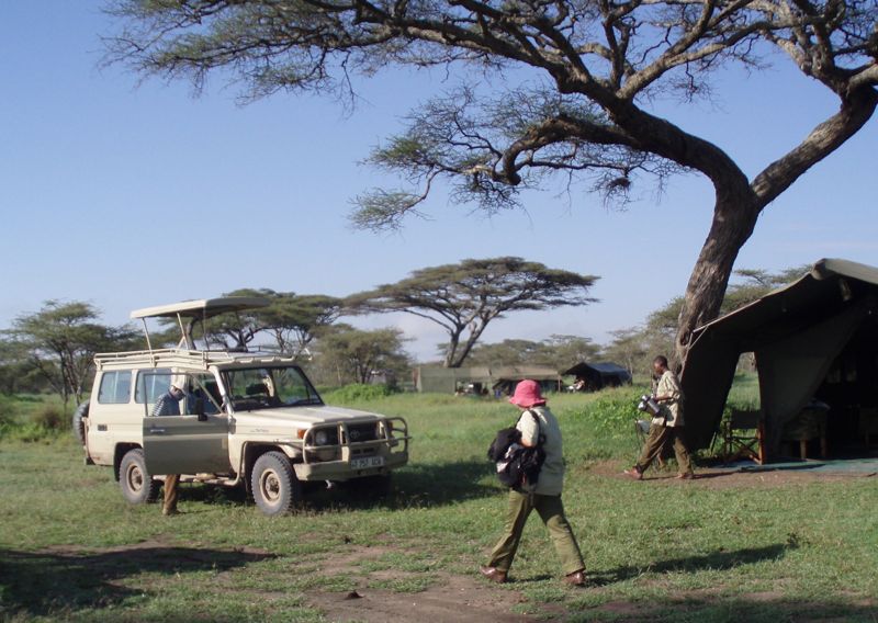 Safari with Stephen in Ndutu Tanzania