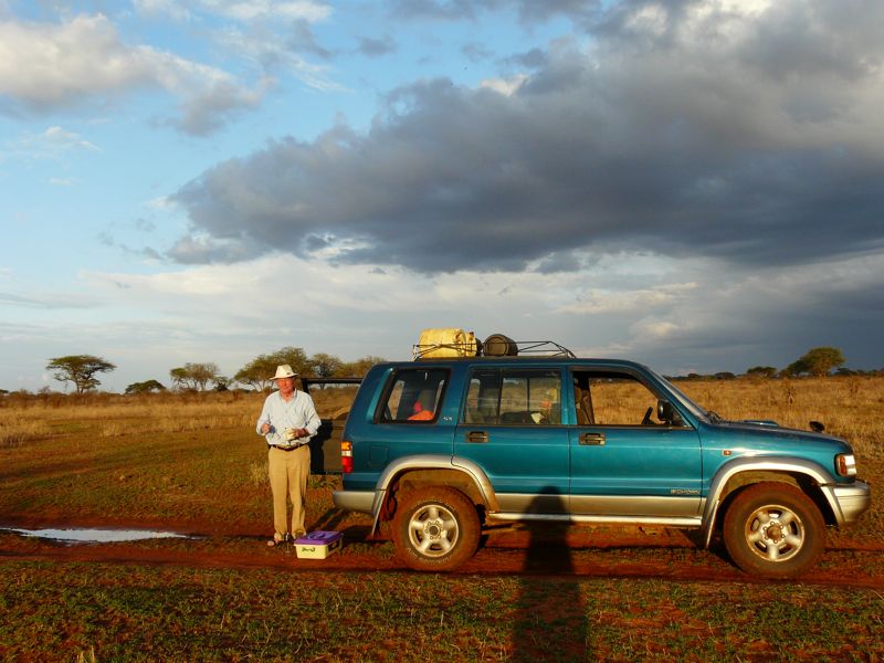 Tsavo West, Kenya